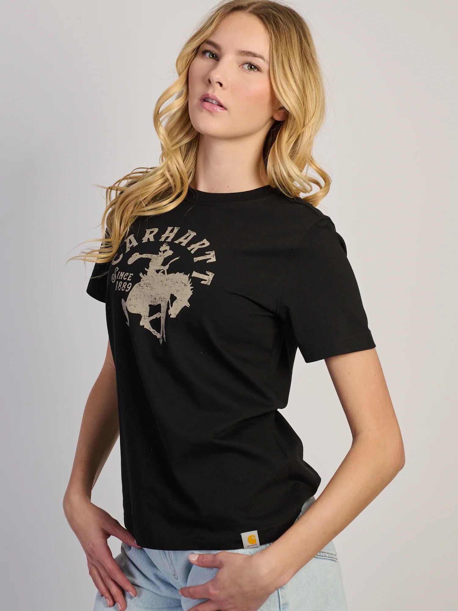 CARHARTT IRVINE RELAXED HORSE TEE - Image 4