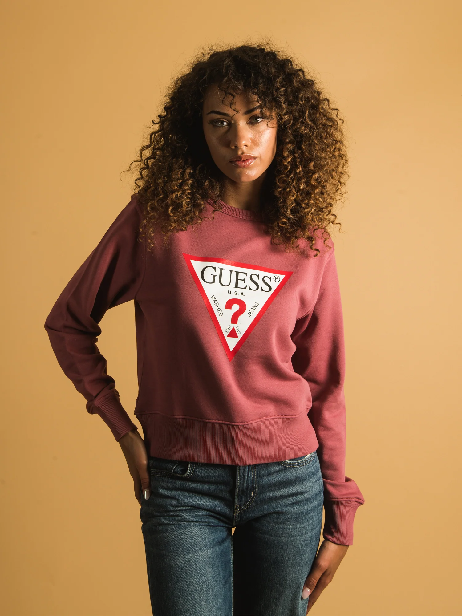 GUESS BRUSHED TERRY C/N ORIGINAL FLEECE - CLEARANCE - Image 3