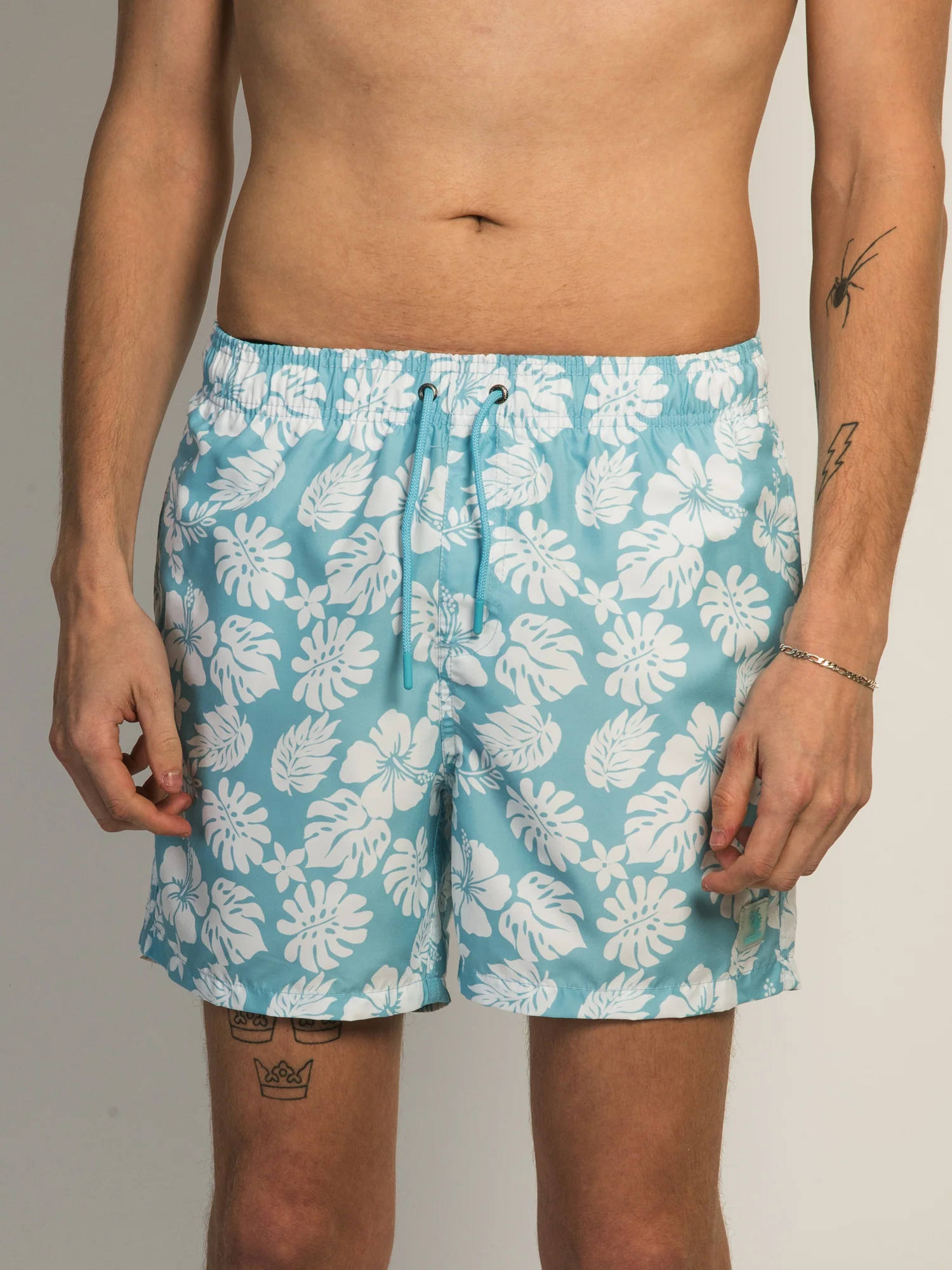 ISLAND HAZE HIBISCUS 5" VOLLEY