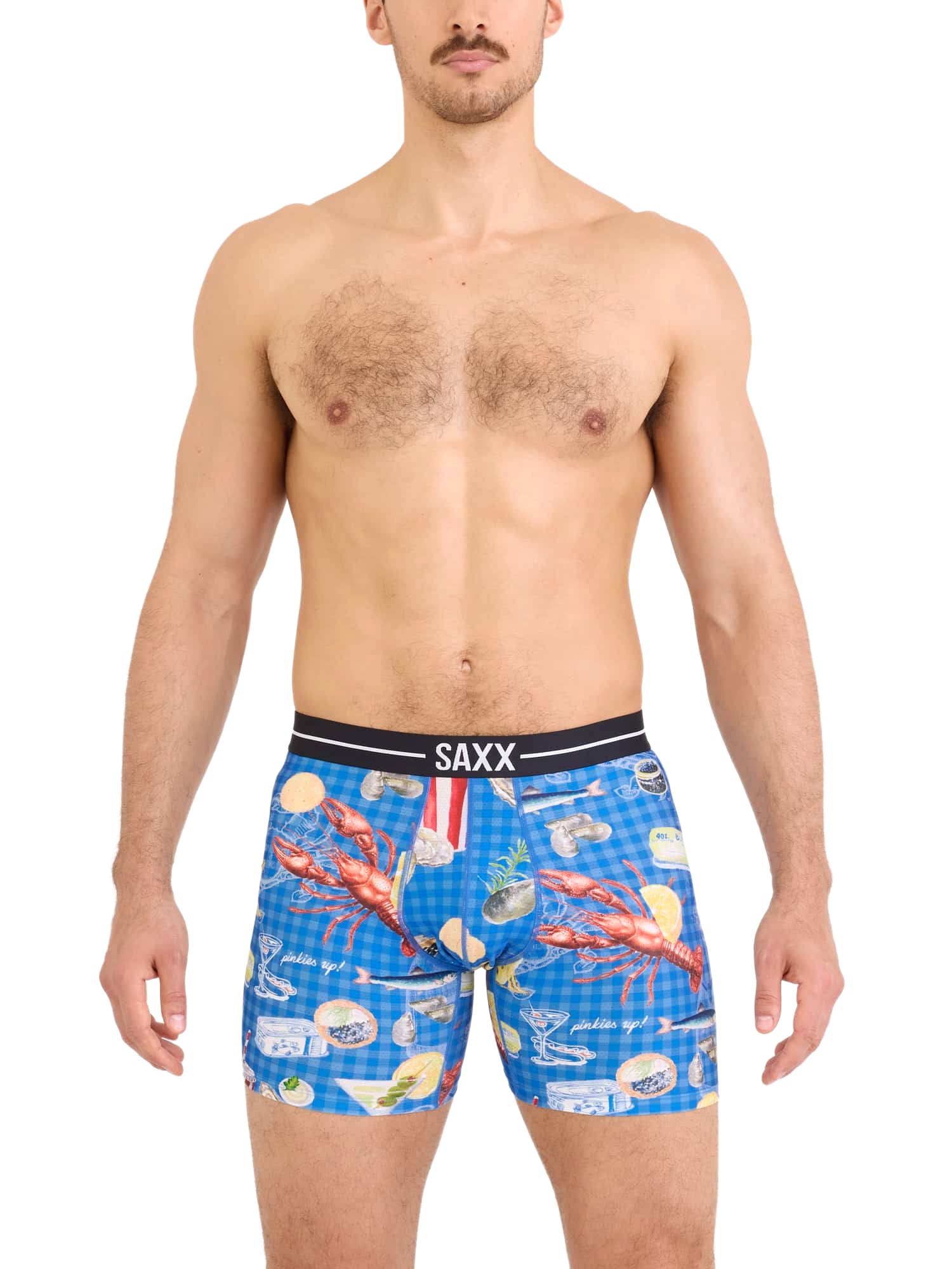 SAXX LOW LIFE PICNIC BOXER BRIEF - Image 2