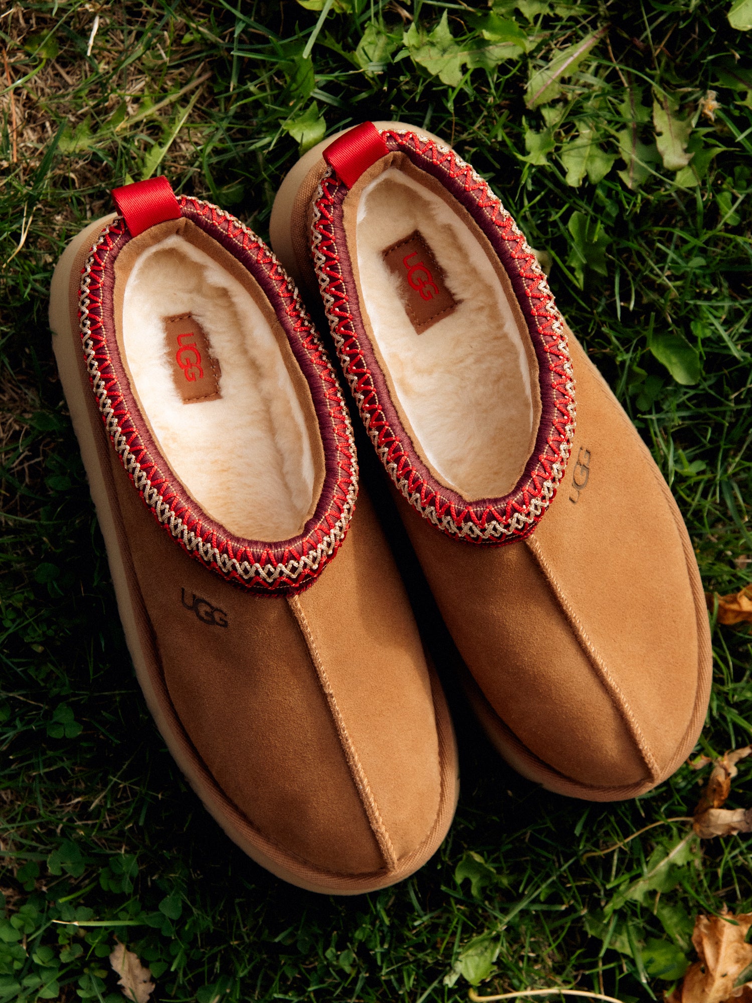 WOMENS UGG TAZZ - CHESTNUT - Image 6